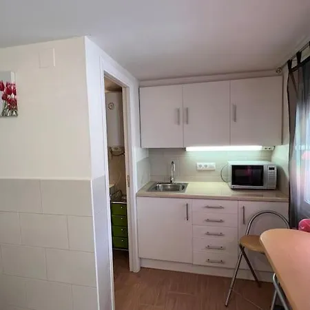 ¡magnifica Amalia! *