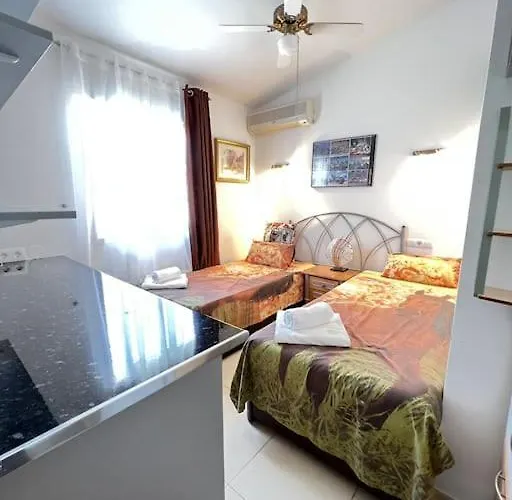 ¡magnifica Amalia! *