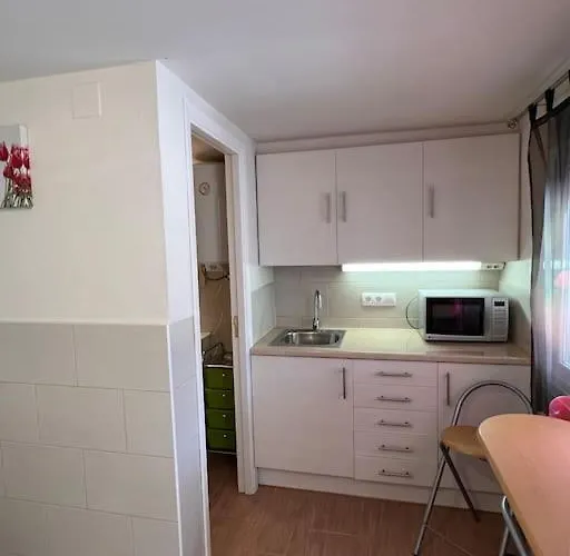 ¡magnifica Amalia! *